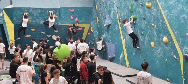 4426d4cf-a17a-4405-91e1-5442fa008348